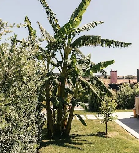 Country house Casa Da Aldeia - Baleal - Peniche Casais Brancos